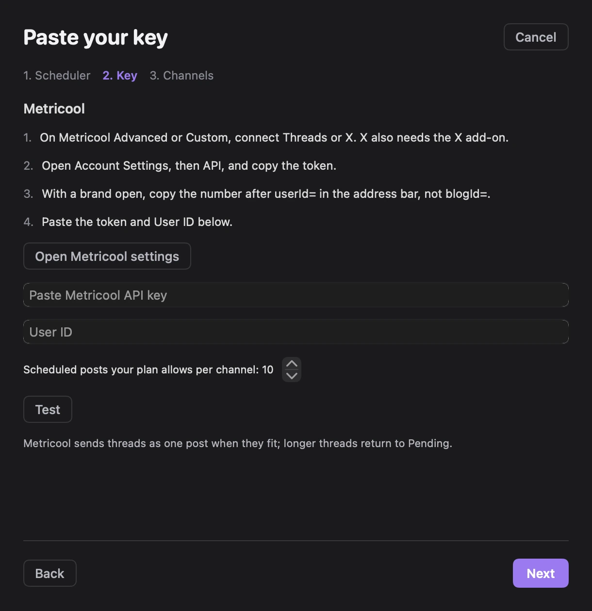 Paste your key, with Metricool's four setup steps, the Paste Metricool API key and User ID fields, Scheduled posts your plan allows per channel: 10, and Test